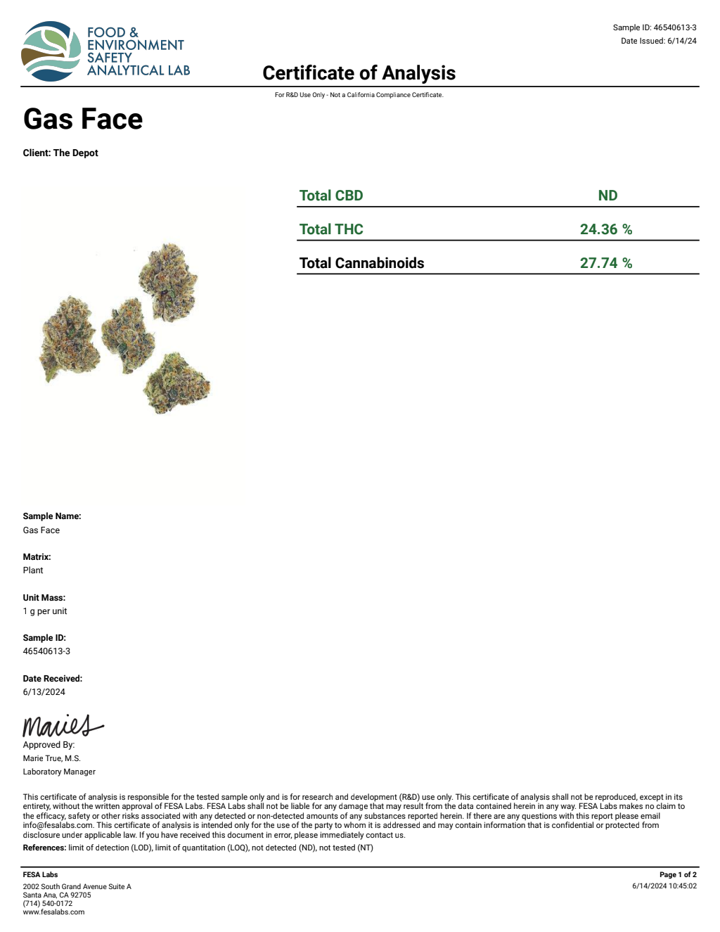 V2T8-IVE Uncle Snoop Big — wholesale hybrid flower