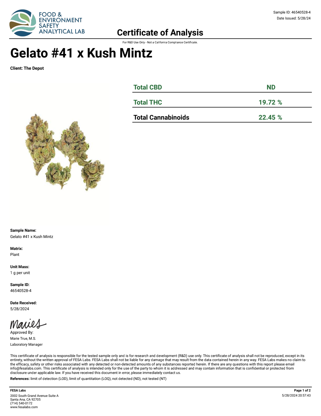 D0N5-IVE Purple Gushers Big — wholesale hybrid flower