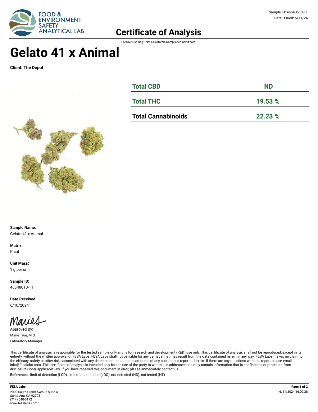 H0D7-IVE Candy Claw Big — wholesale hybrid edible