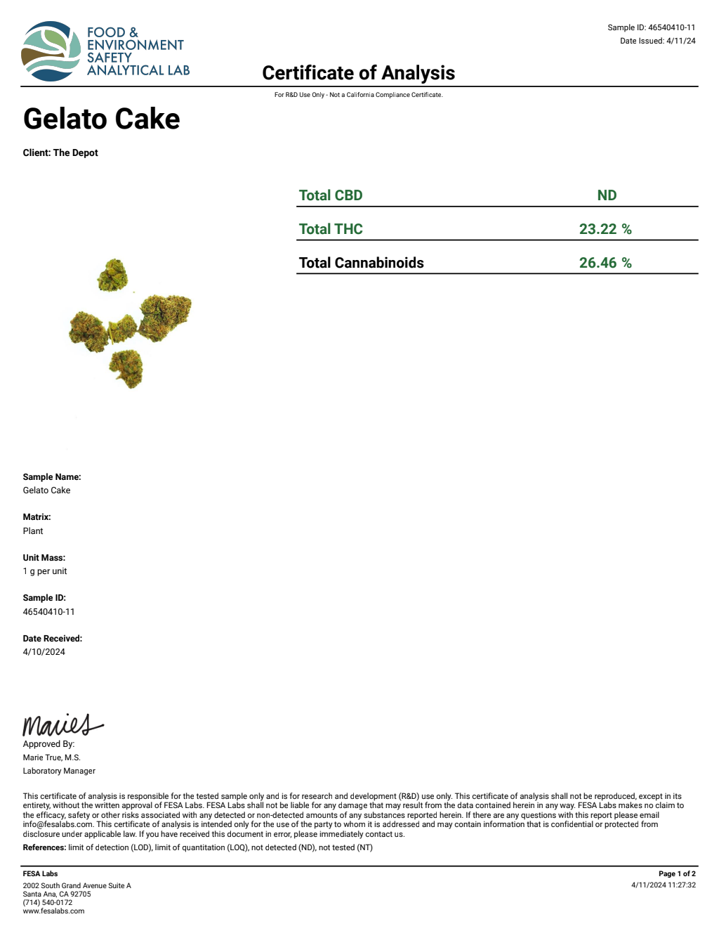 J5M4-IVE Lava Cake Big — wholesale hybrid flower