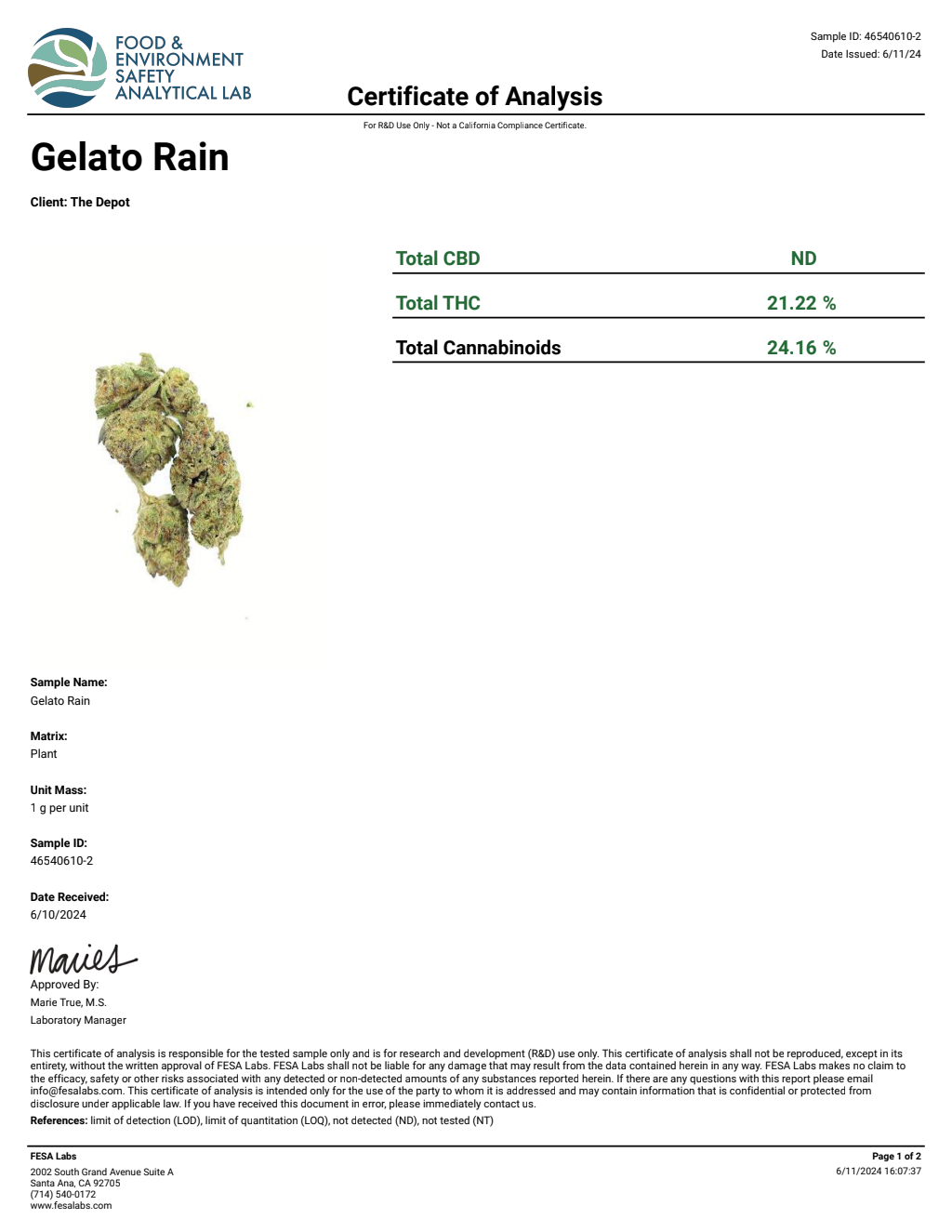 G8N4-VB Tropicana Gelato Big — wholesale hybrid flower