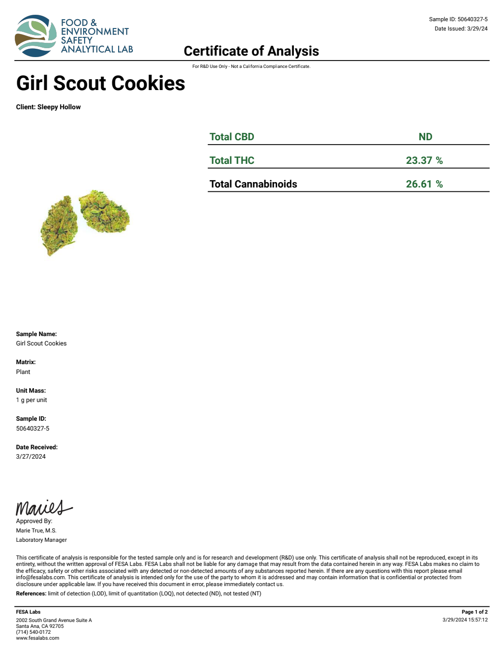 T9V3-VB Candy Cartel Big — wholesale hybrid edible