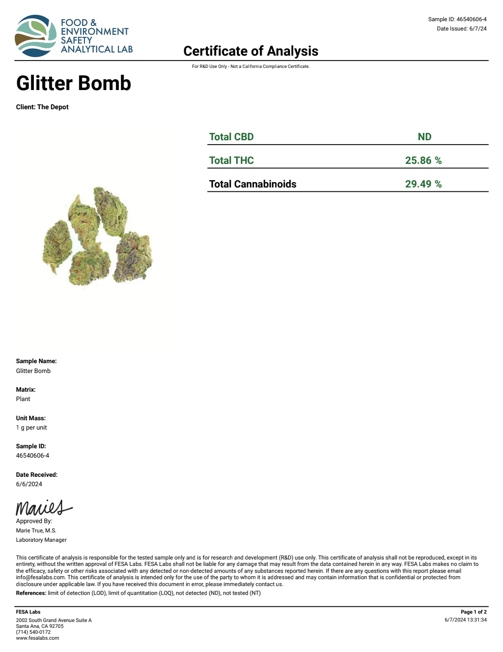 T0S2-VB Guavanade Big — wholesale hybrid flower