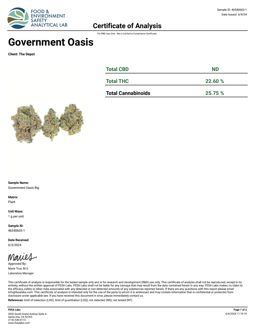 G1E3-VB Zkittles x Georgia Pie Big — wholesale hybrid flower