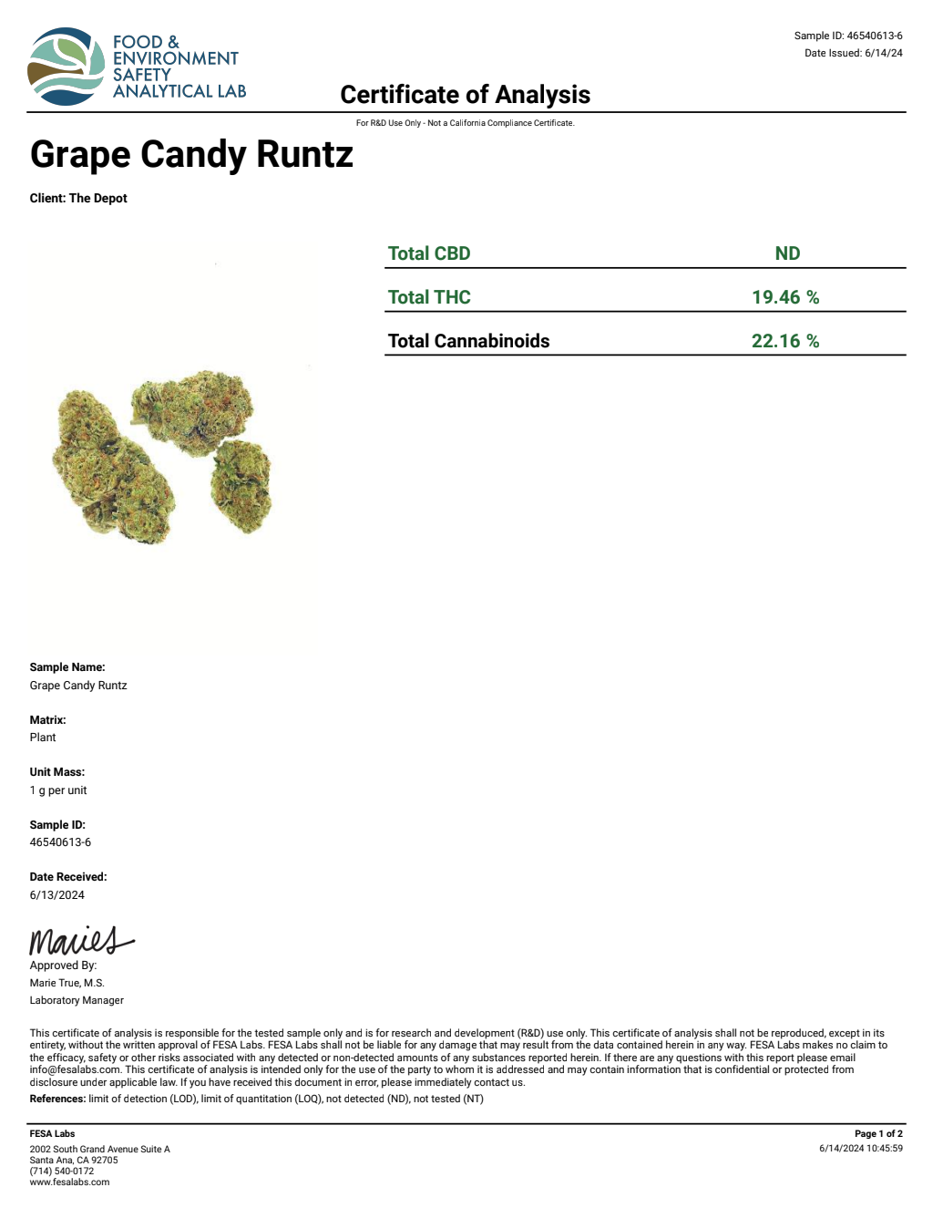 Z1A4-VB Gas Face Big — wholesale hybrid edible