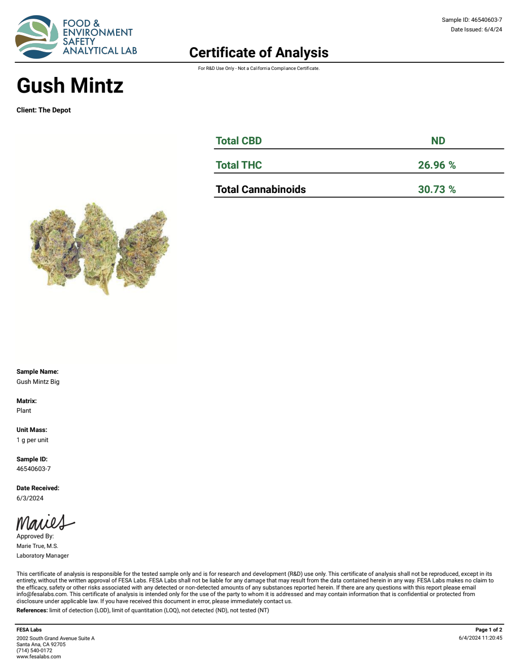 Z1A4-VB Galactic Gummy Bear Big — wholesale hybrid edible