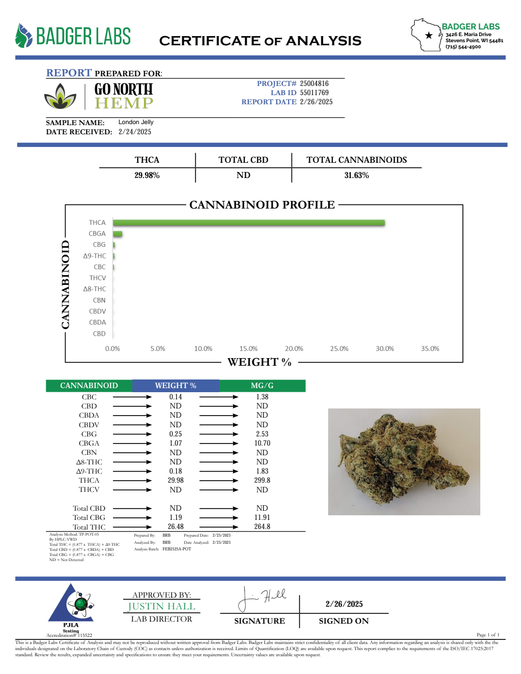 LONDON JELLY SMALLS — wholesale hybrid smalls