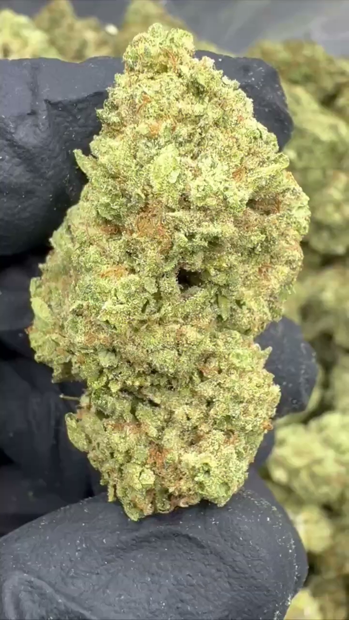 ZKITTLES — wholesale indica flower