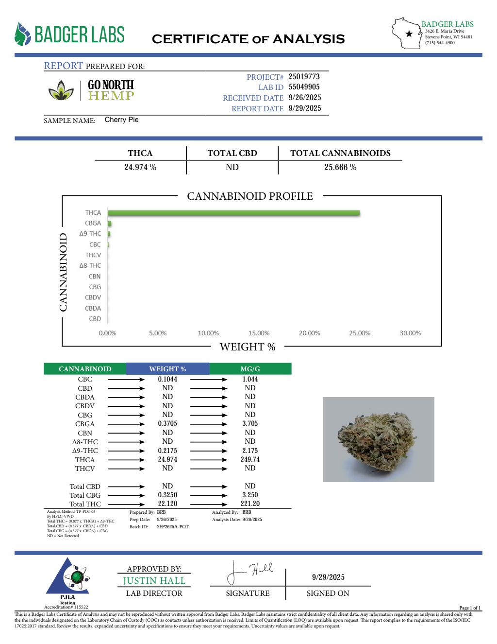 CHERRY PIE — wholesale indica flower