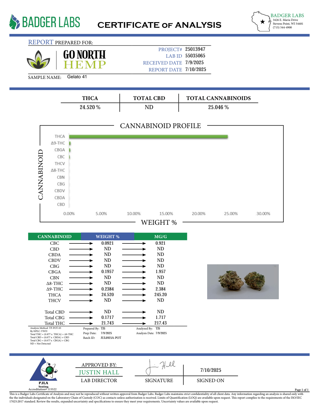 GELATO 41 — wholesale indica flower