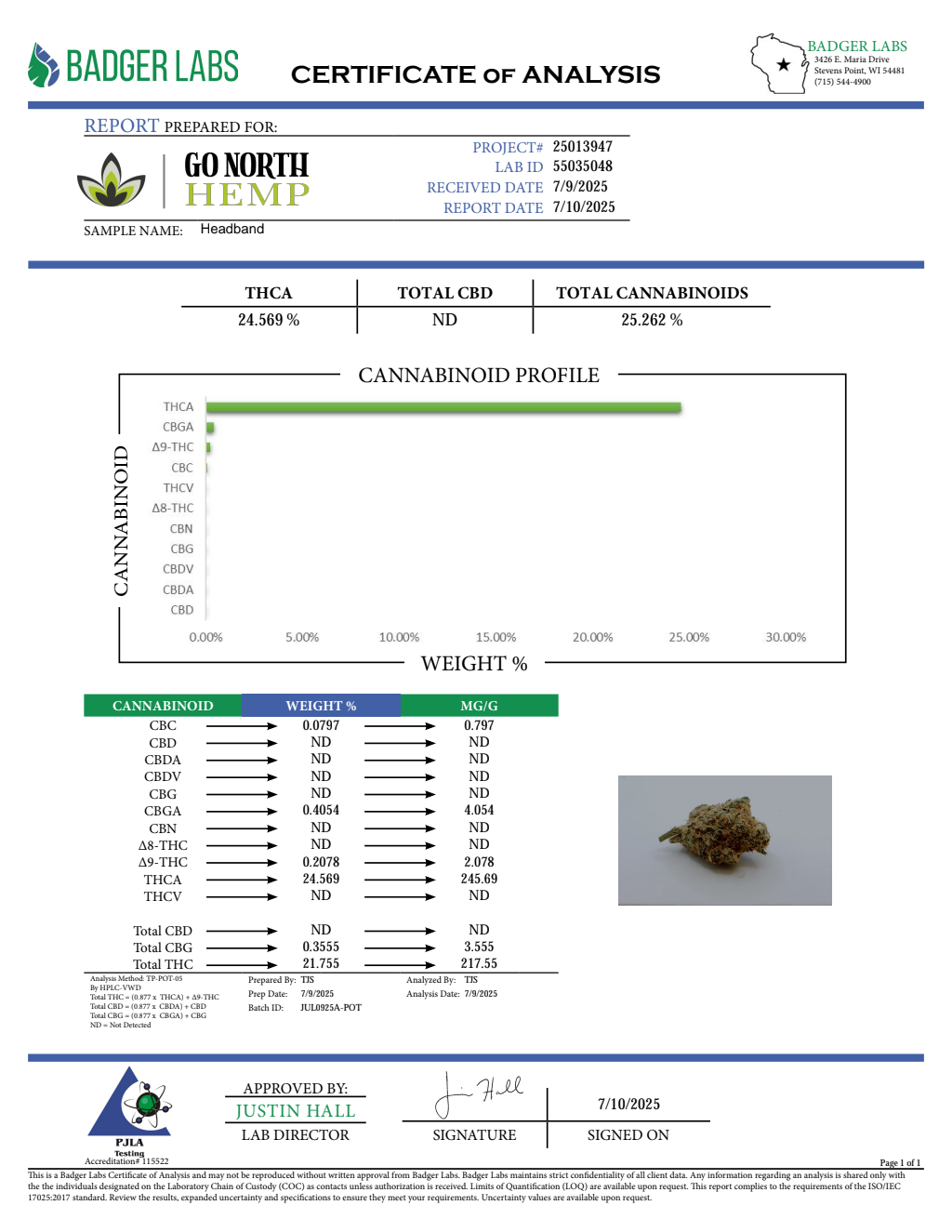 HEADBAND — wholesale hybrid flower