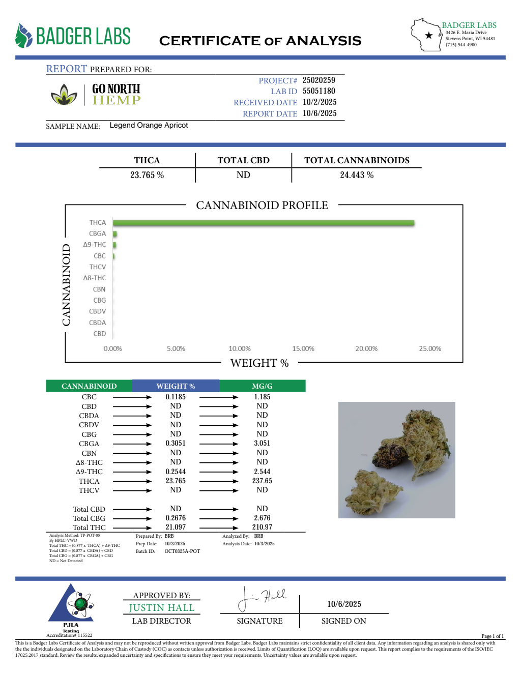 LEGEND ORANGE APRICOT — wholesale hybrid flower