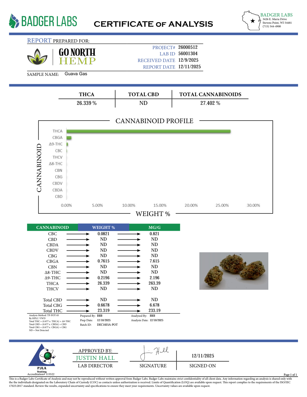 GUAVA GAS — wholesale hemp product main photograph