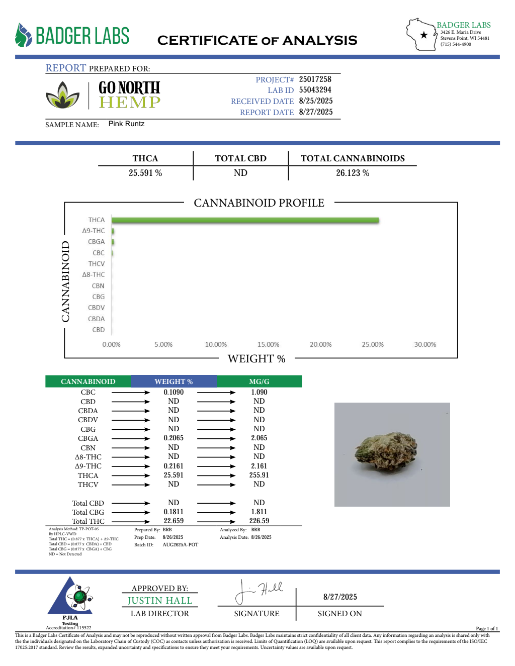 PINK RUNTZ — wholesale hybrid flower