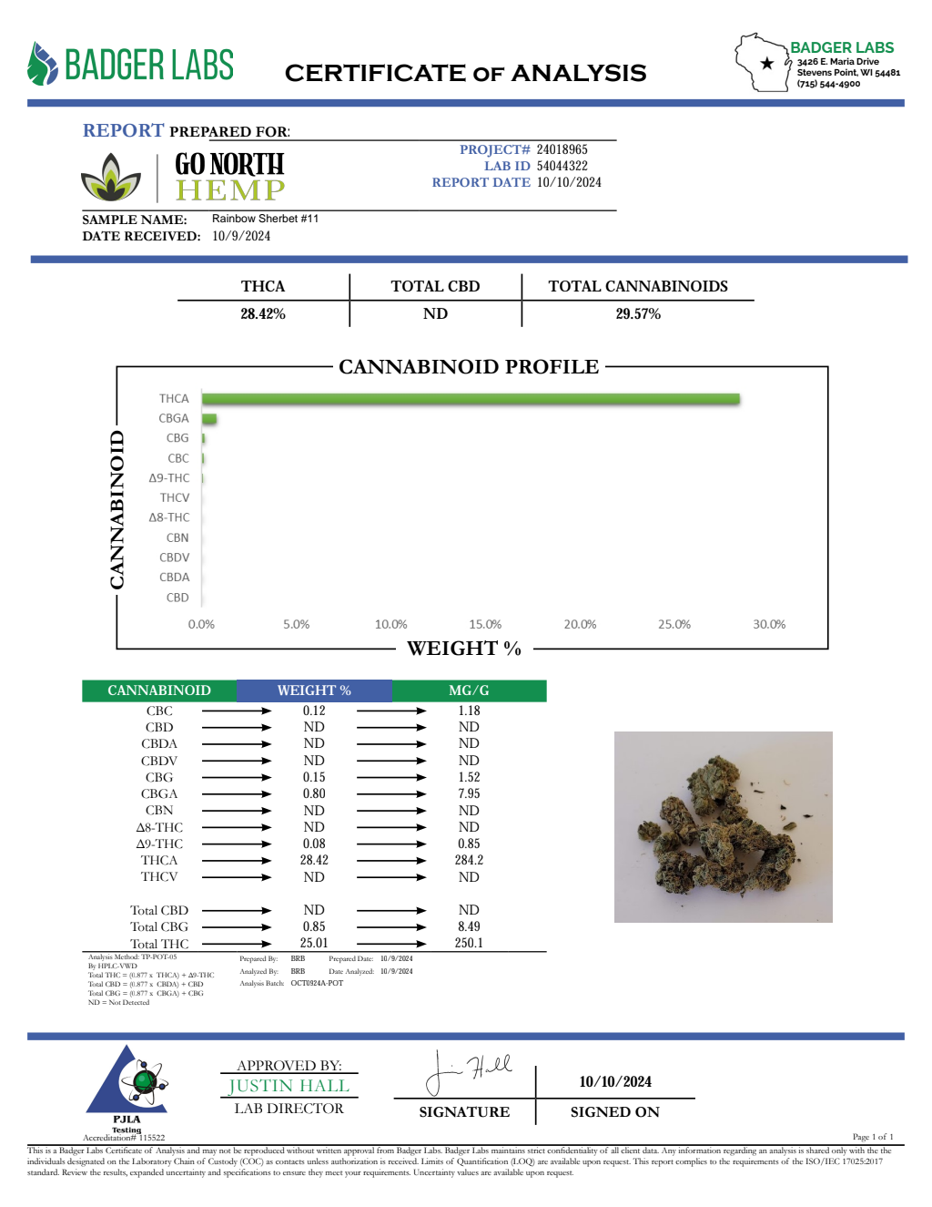 RAINBOW SHERBET #11 SMALLS — wholesale hybrid smalls