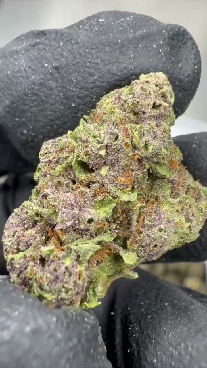TROPICANA CHERRY SMALLS — wholesale hybrid smalls