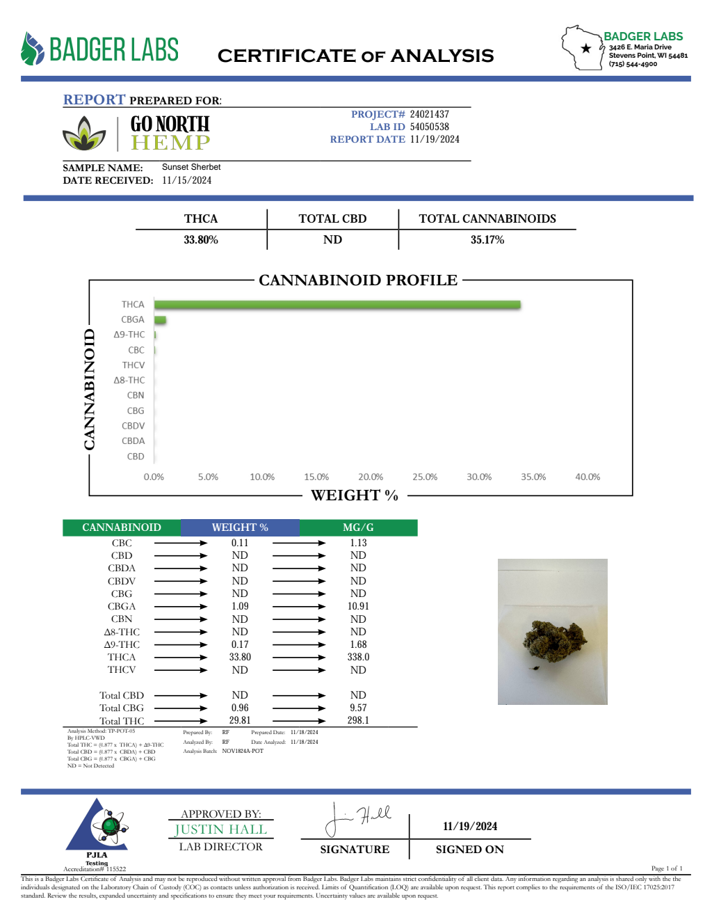 SUNSET SHERBET — wholesale hybrid flower