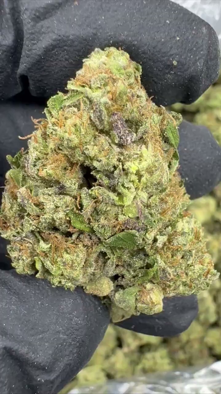HOOD CANDY — wholesale hybrid edible