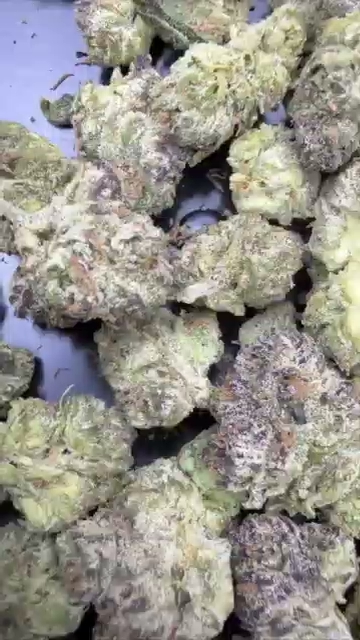 LEMON CHERRY GELATO SMALLS — wholesale hybrid smalls