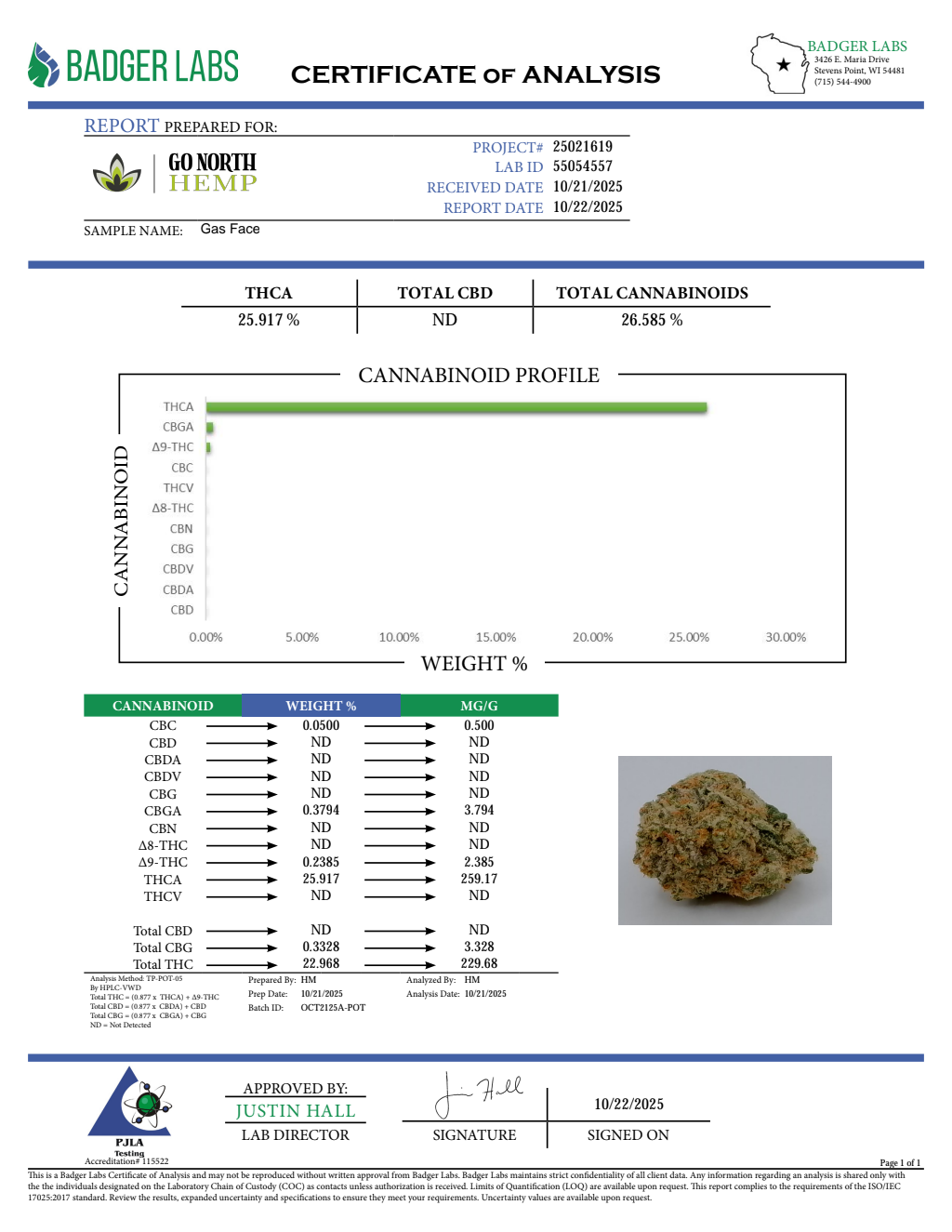 GAS FACE SMALLS — wholesale hybrid smalls