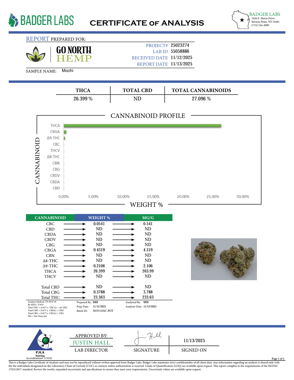MOCHI SMALLS — wholesale hybrid smalls