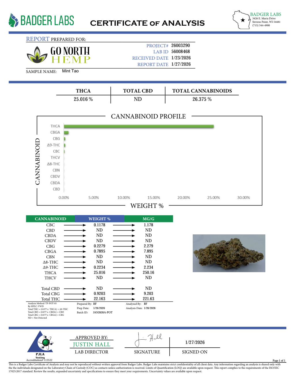 MINT TAO SMALLS — wholesale hybrid smalls