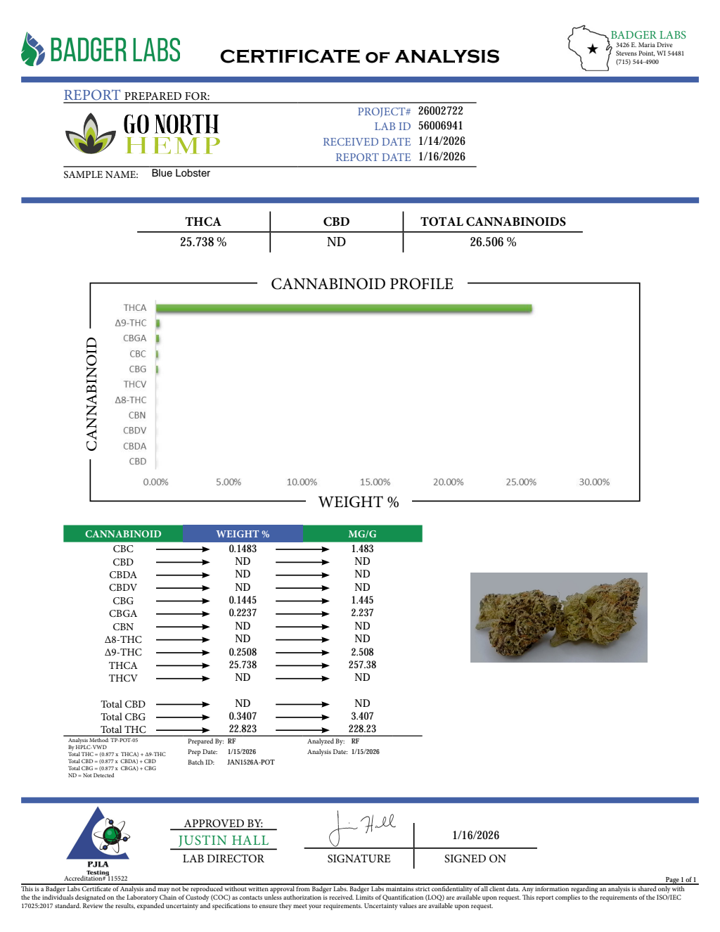 BLUE OYSTER SMALLS — wholesale sativa smalls