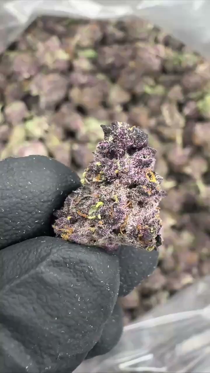 TROPICANA CHERRY SMALLS — wholesale sativa smalls