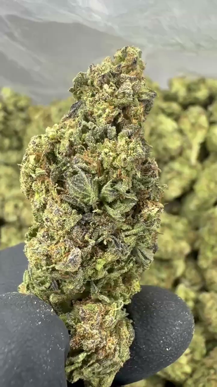 GUSH MINTZ — wholesale indica flower