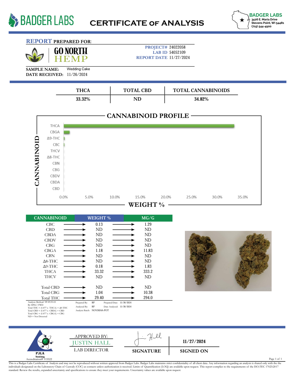 WEDDING CAKE — wholesale hybrid flower
