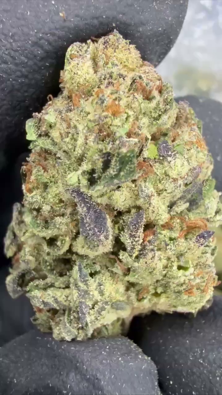 GMO — wholesale indica flower