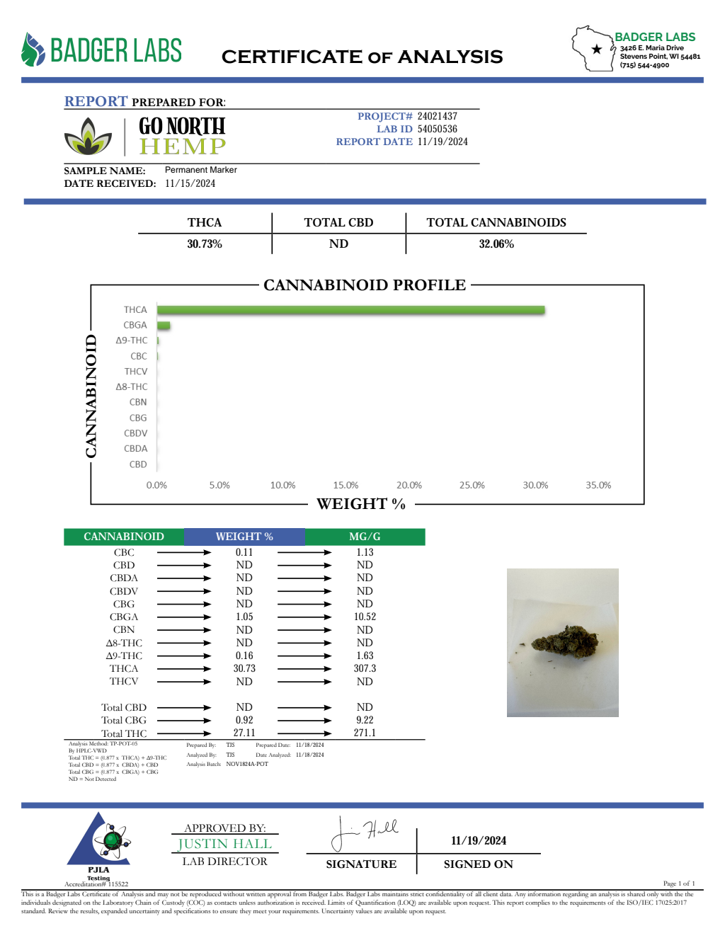 PERMANENT MARKER — wholesale hybrid flower