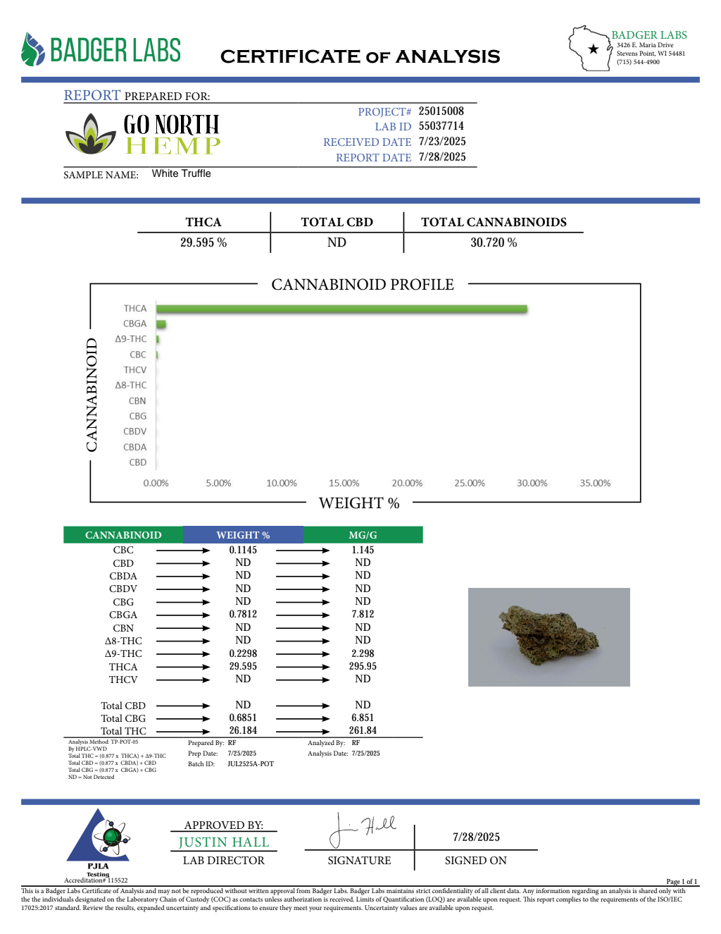 WHITE TRUFFLE — wholesale hybrid flower