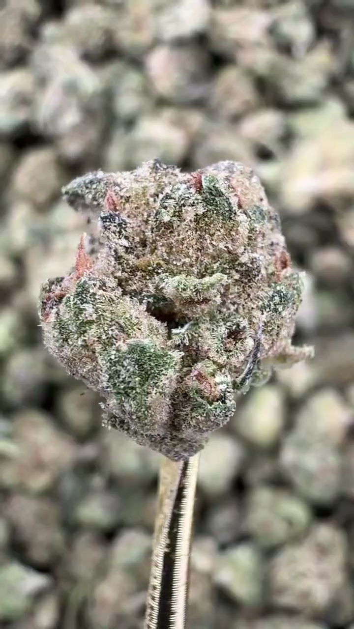 CADILLAC RAINBOW SMALLS — wholesale indica smalls