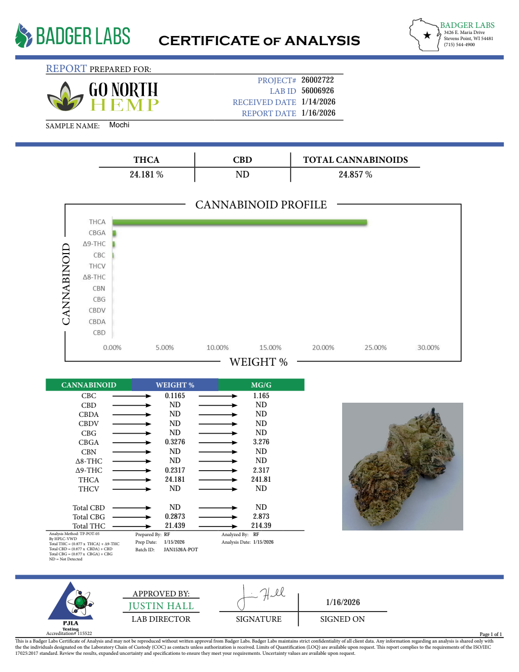 MOCHI — wholesale hybrid flower