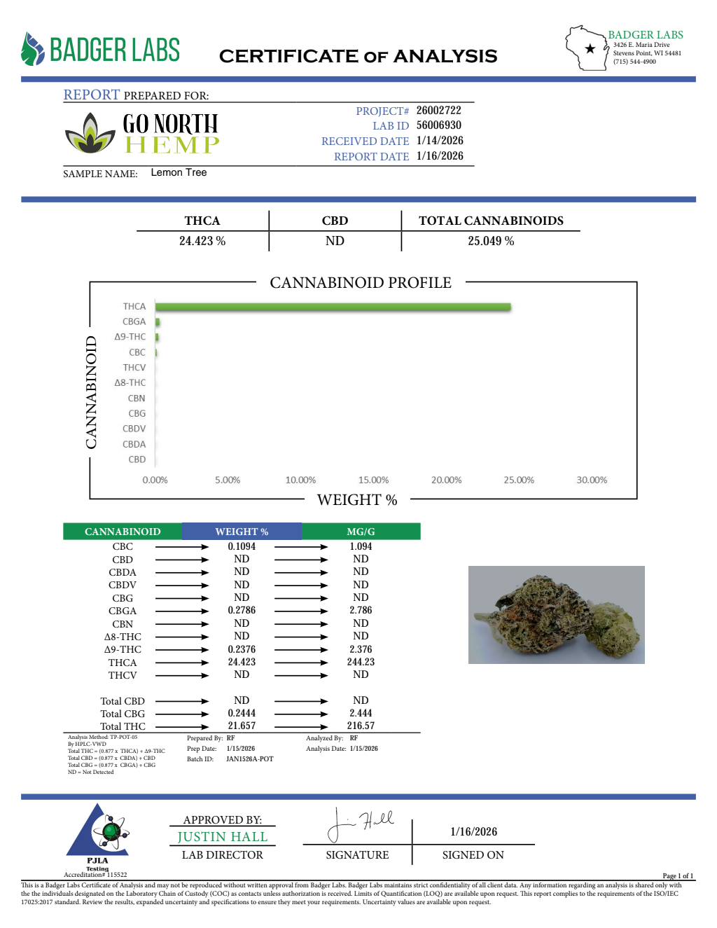 LEMON TREE — wholesale indica flower