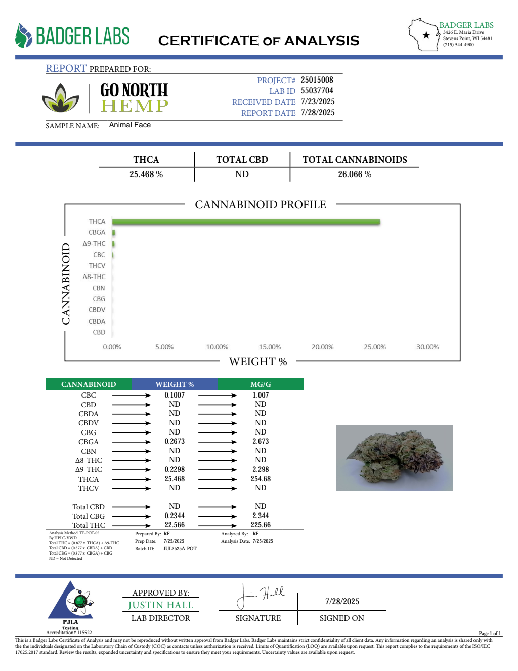 ANIMAL FACE — wholesale hybrid flower