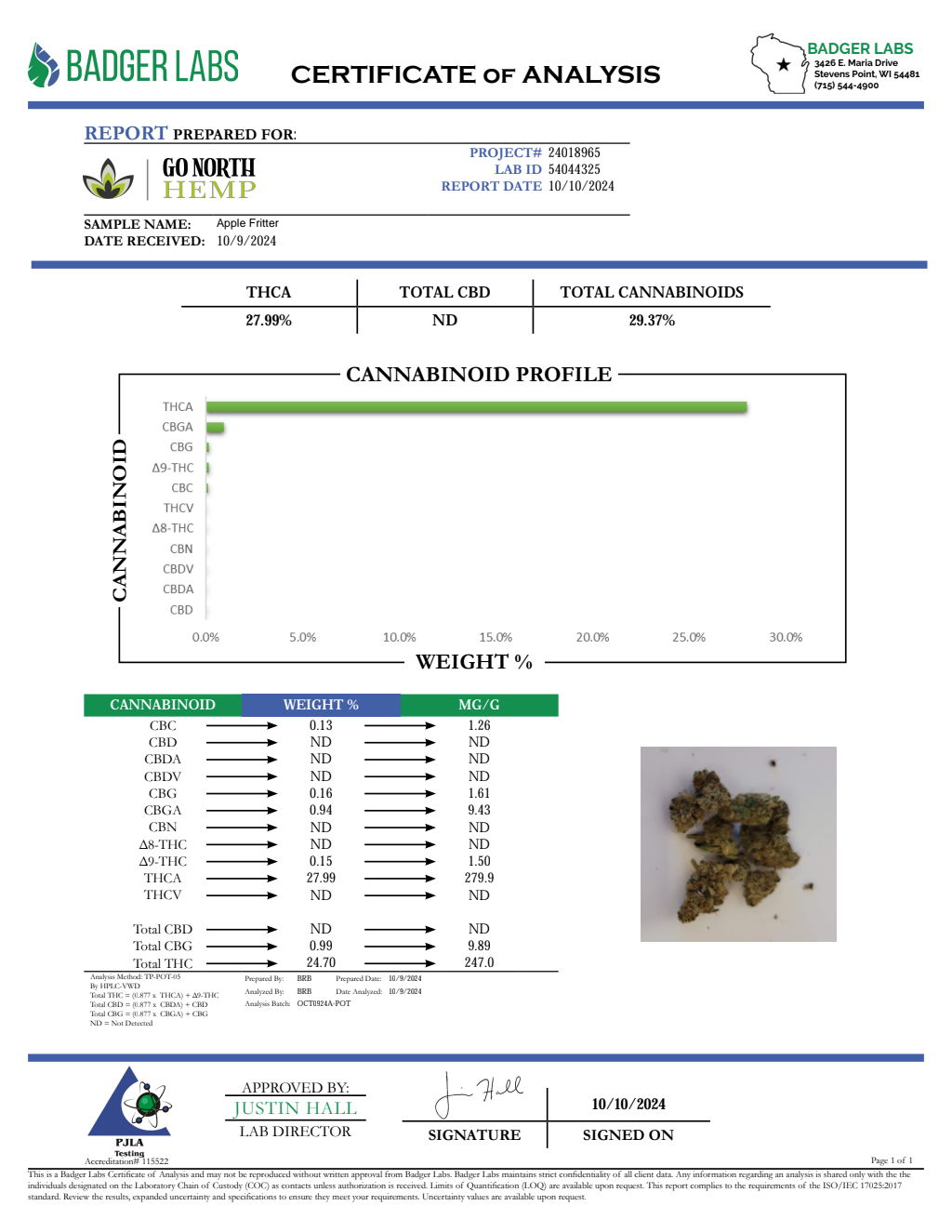 APPLE FRITTER — wholesale hybrid flower
