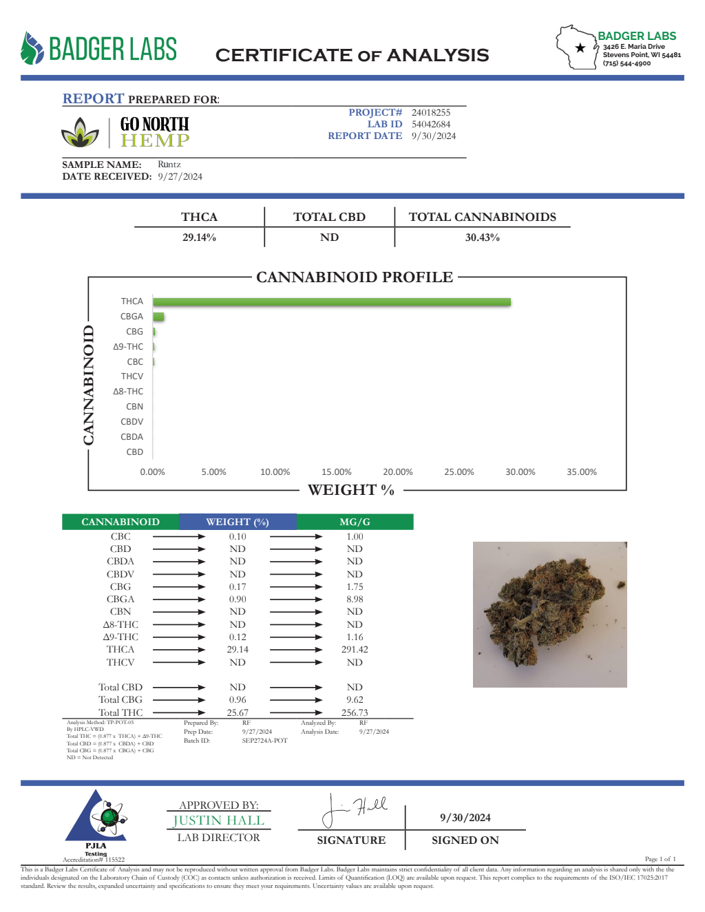 RUNTZ — wholesale hybrid flower