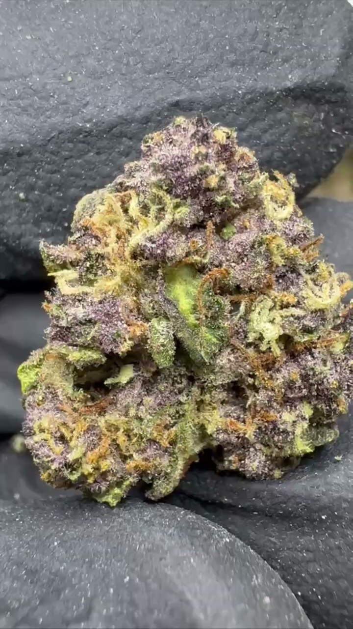 TROPICANA CHERRY - MEDIUMS — wholesale sativa flower