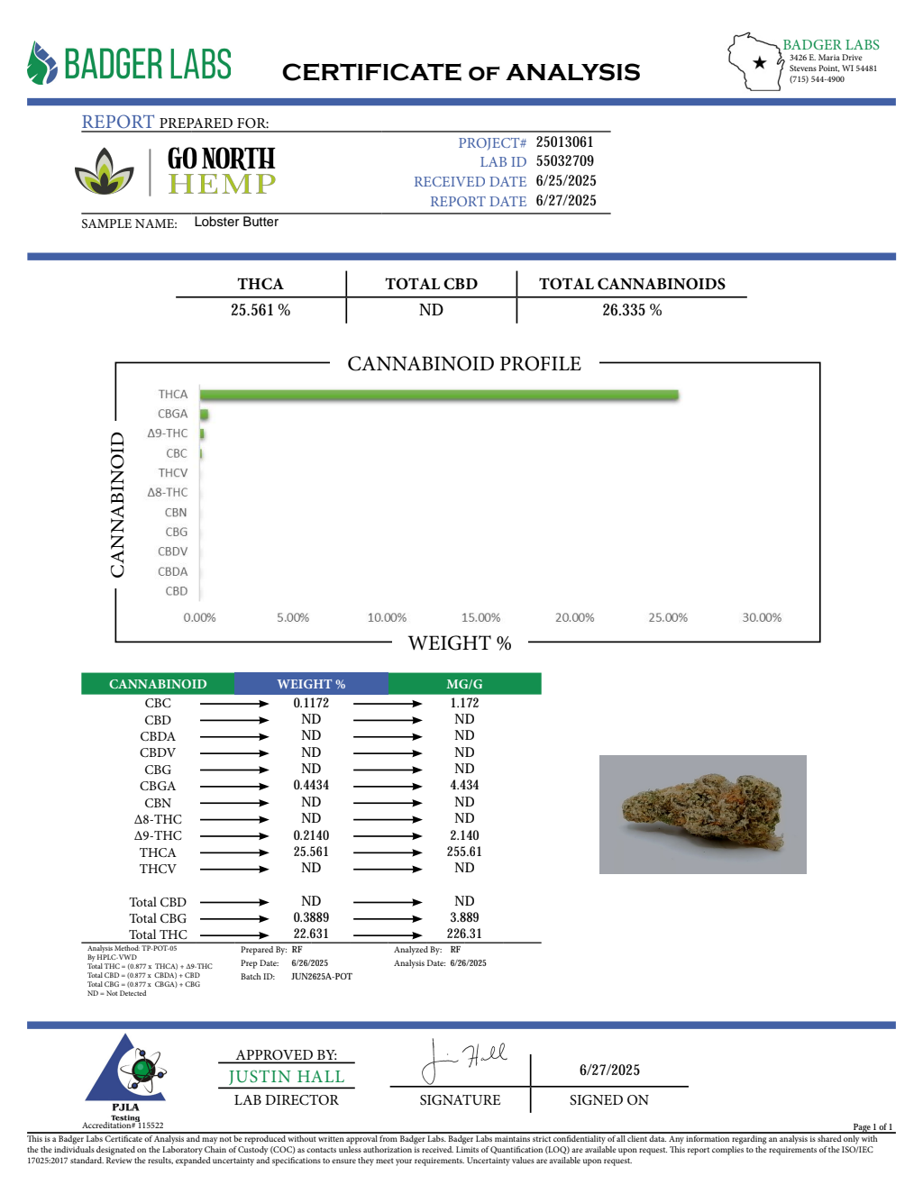 LOBSTER BUTTER — wholesale hybrid flower