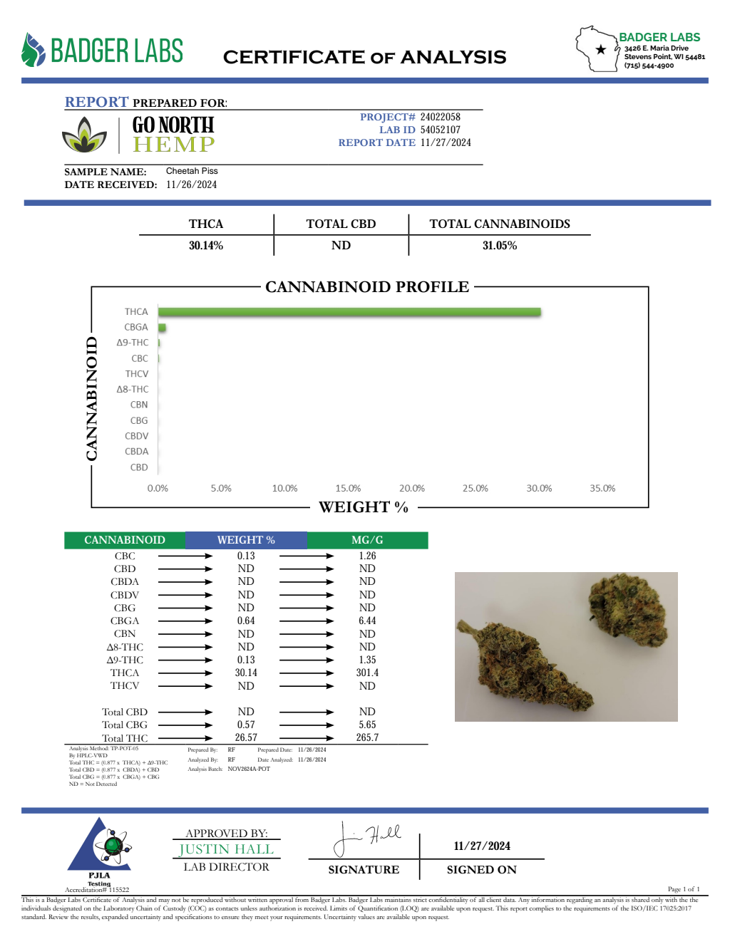 CHEETAH PISS — wholesale sativa flower
