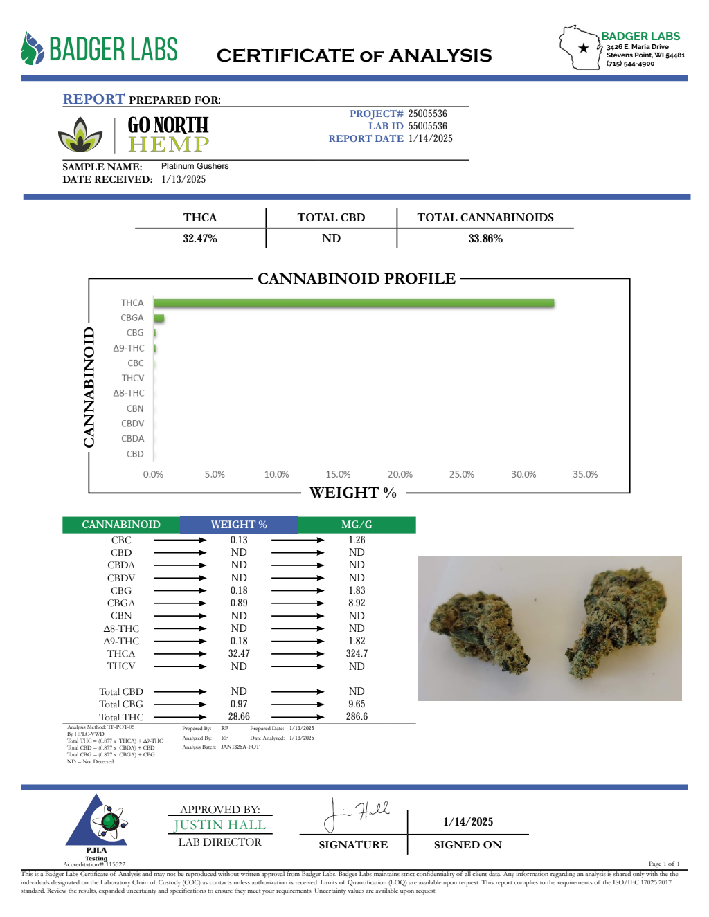 PLATINUM GUSHERS — wholesale hybrid flower