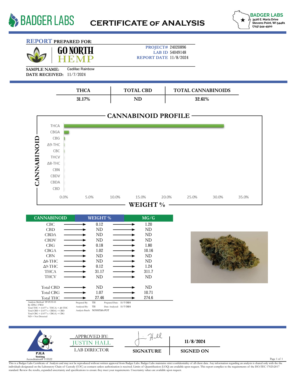 CADILLAC RAINBOW — wholesale hybrid flower