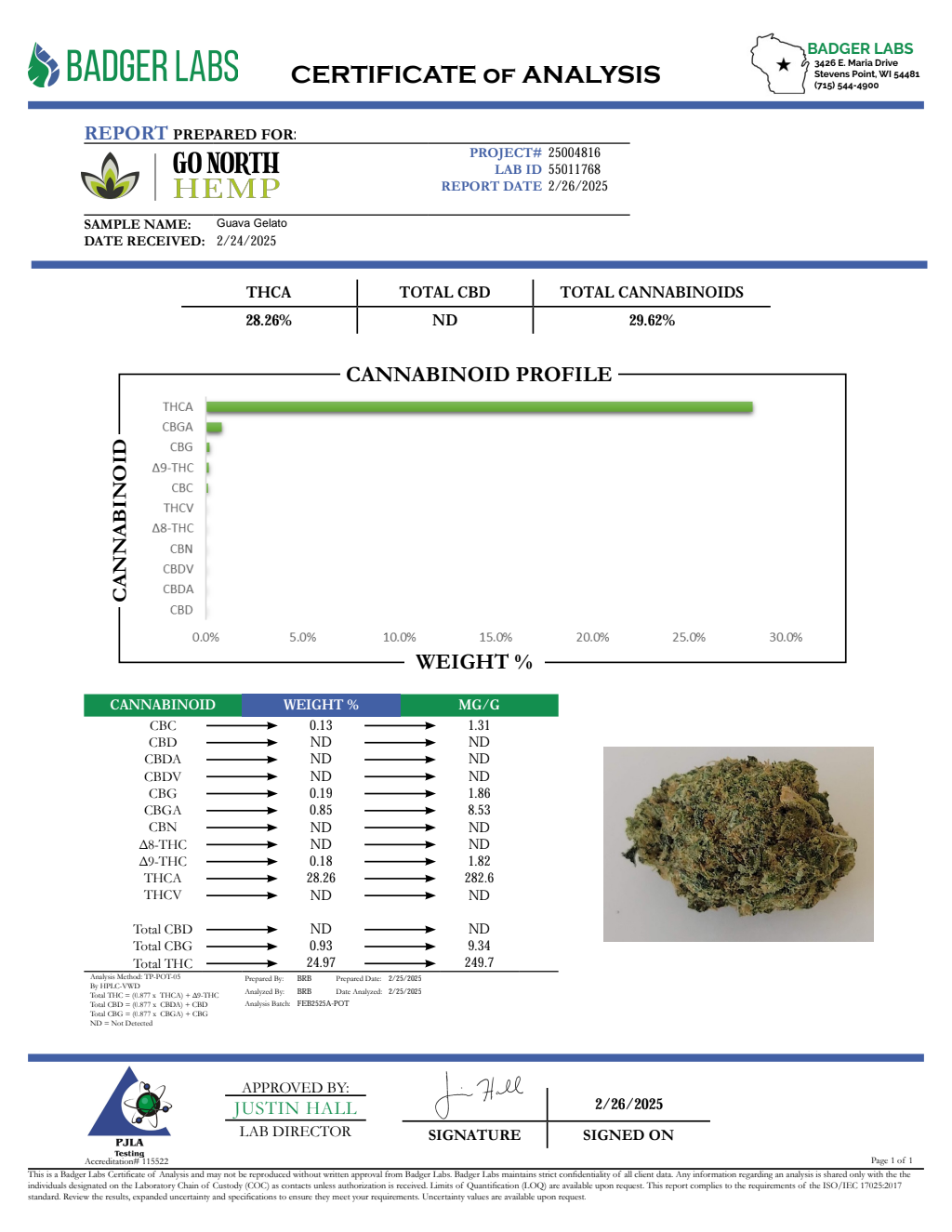 GUAVA GELATO — wholesale indica flower