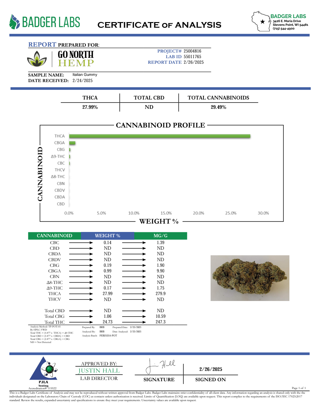 ITALIAN GUMMIE — wholesale hybrid flower
