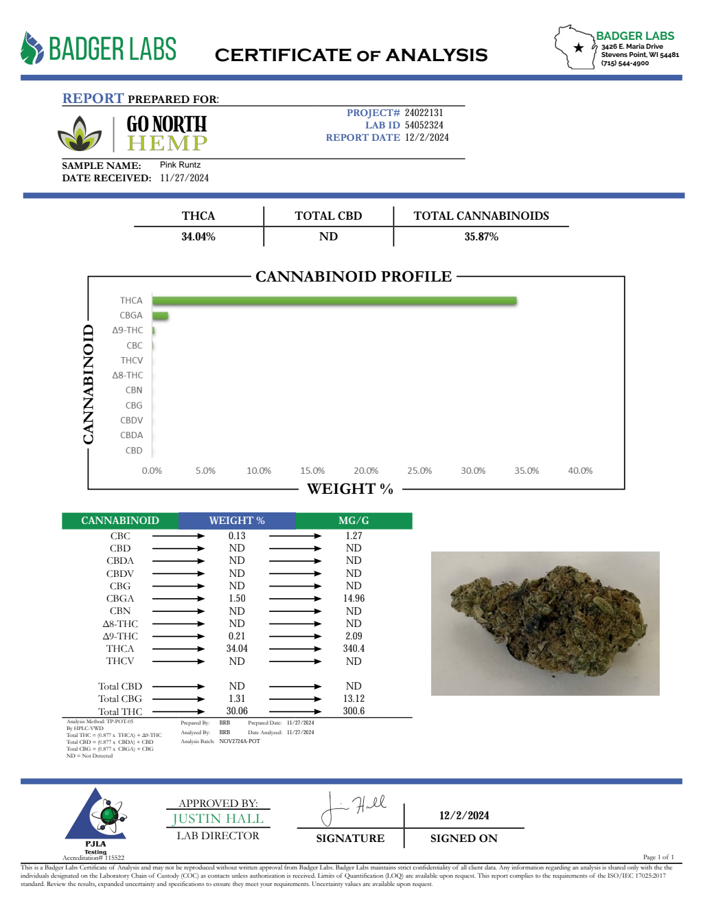 PINK RUNTZ — wholesale hybrid flower