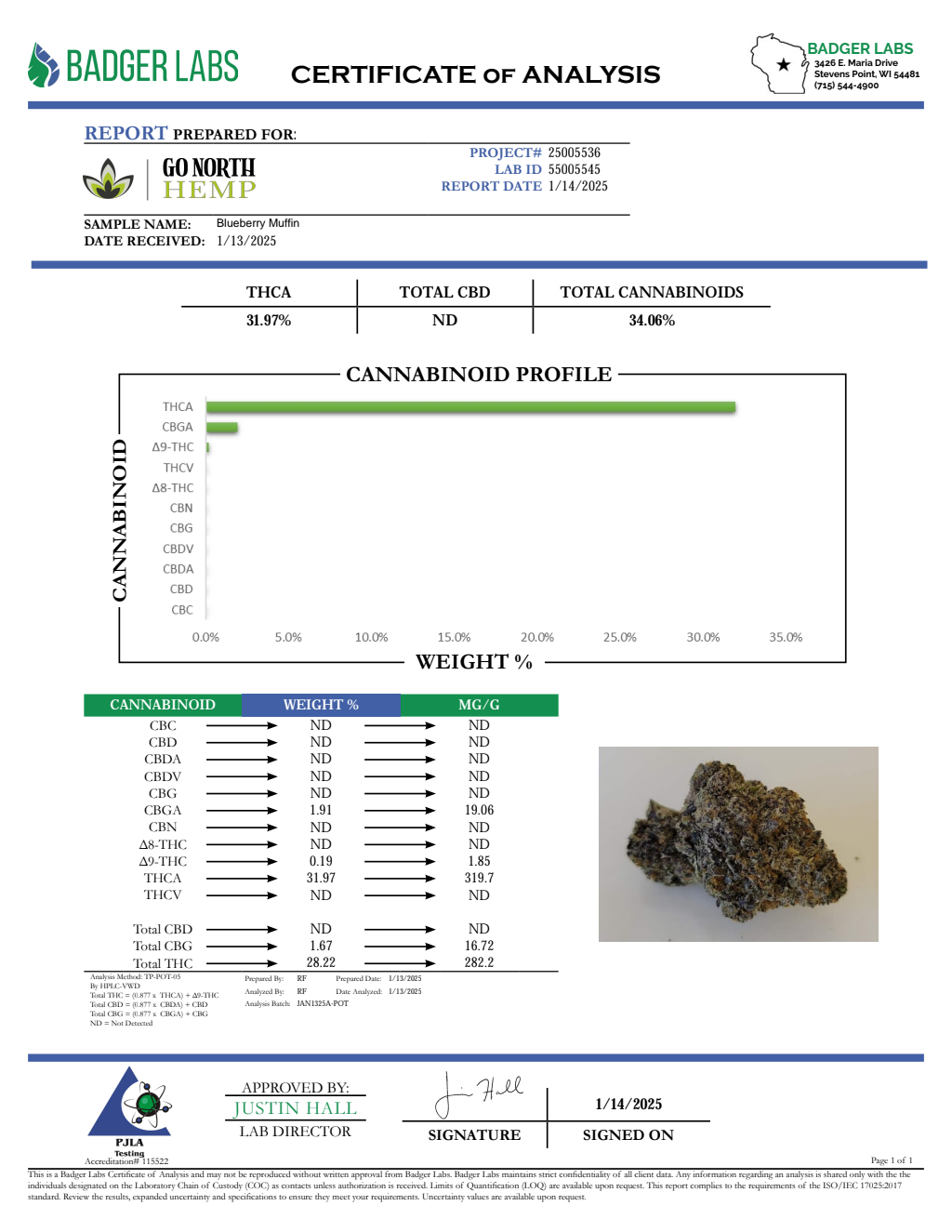 BLUEBERRY MUFFIN — wholesale indica flower