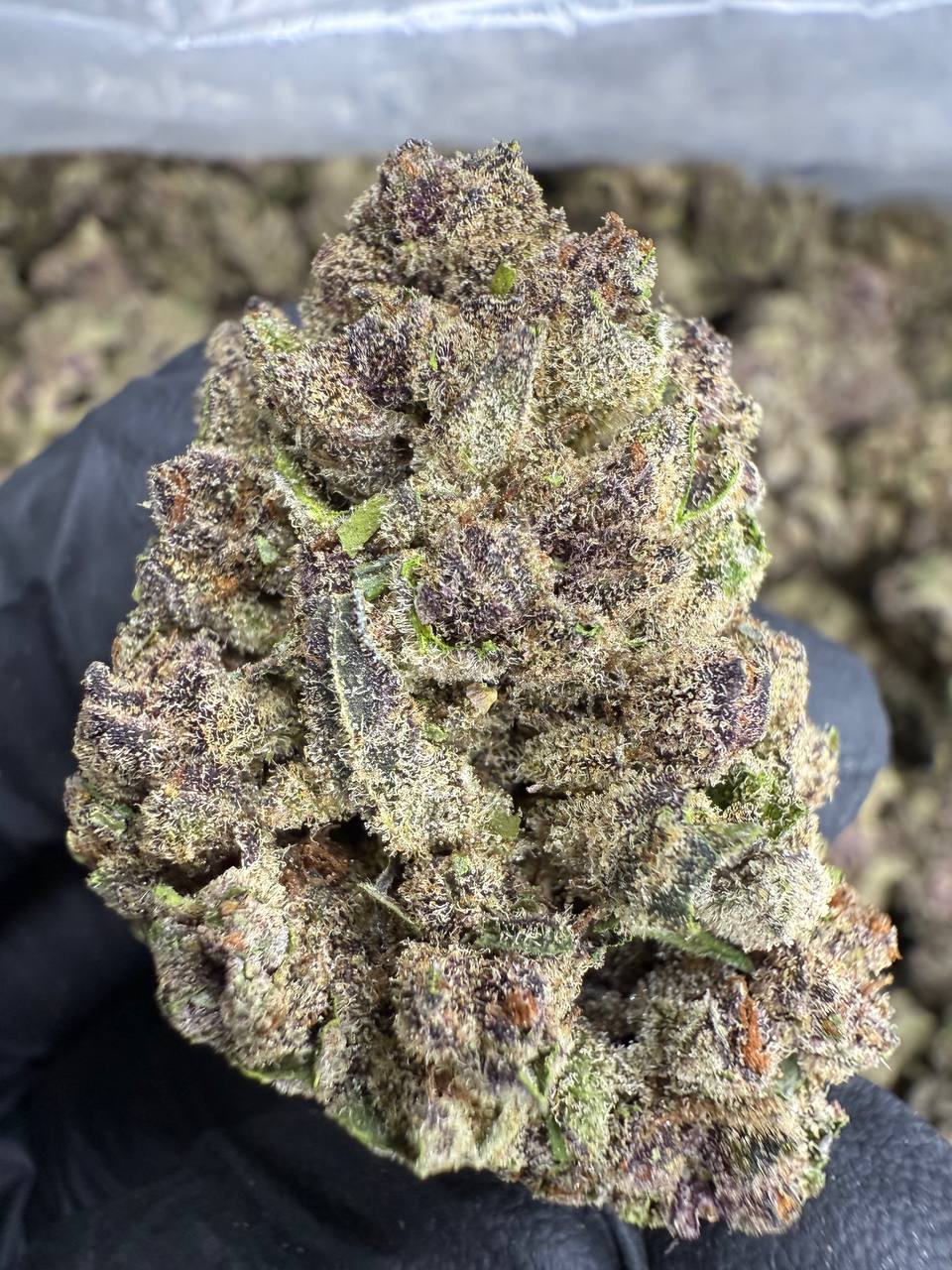 COOKIES AND CREAM — wholesale sativa edible