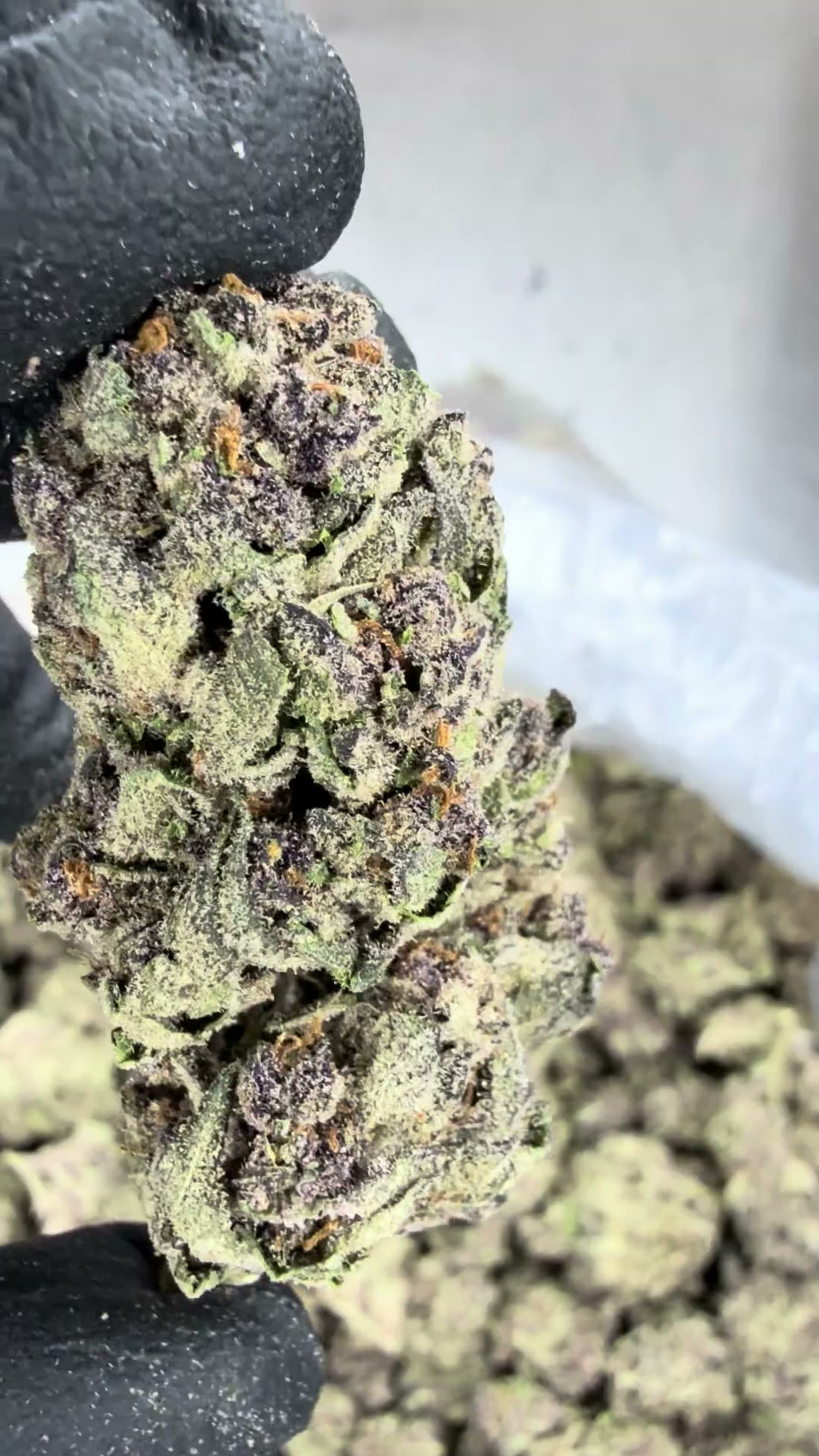 COOKIES AND CREAM — wholesale sativa edible